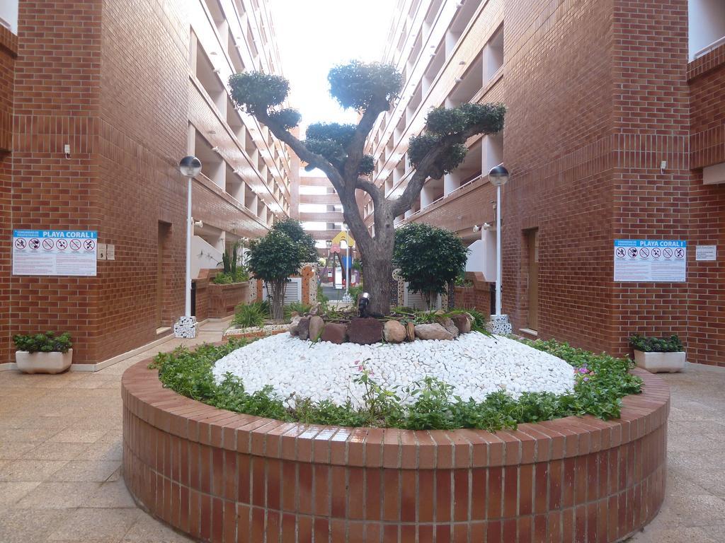 Playa Coral En Marina D'Or Apartment Oropesa del Mar Luaran gambar